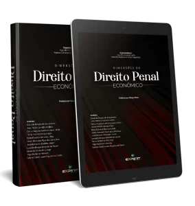 Dimensões do Direito Penal Econômico