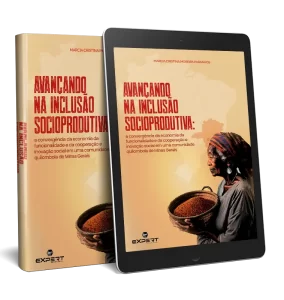 Avançando na Inclusão Socioprodutiva: a convergência da economia da funcionalidade e da cooperação e inovação social em uma comunidade quilombola de Minas Gerais
